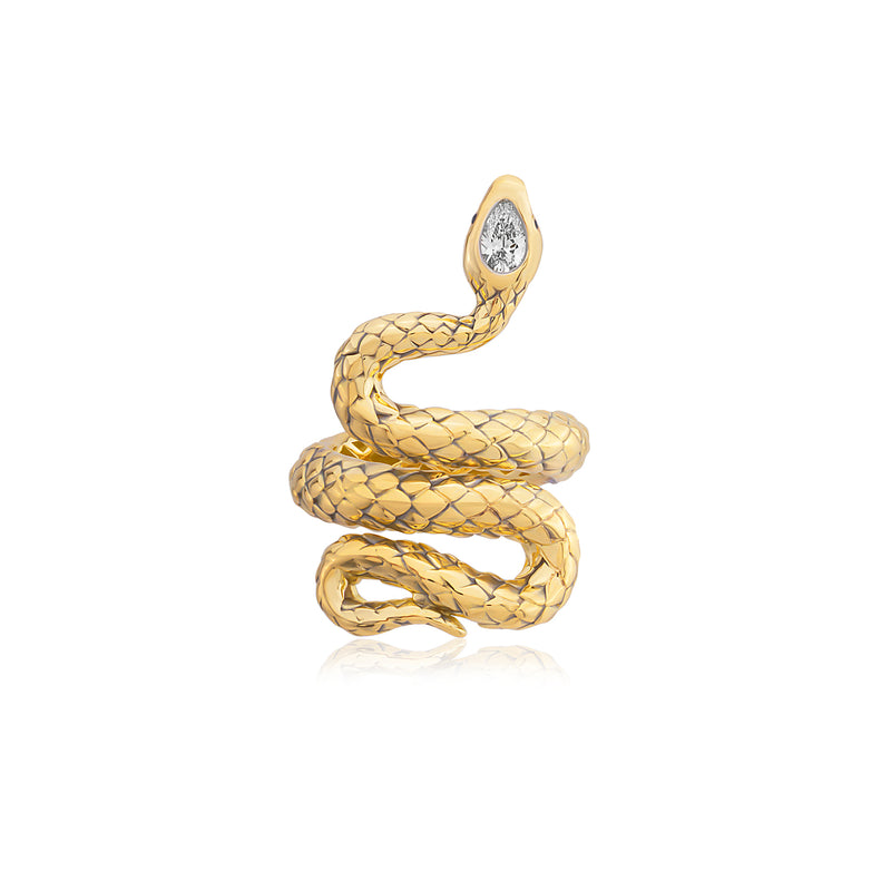 Ouroboros Ring